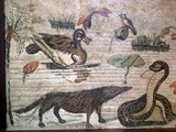 Orvieto (14)