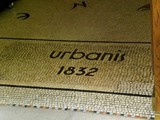 Trieste (3)
