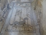 mosaïque au chien maison de Pansa