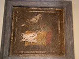Naples (8)
