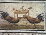 Naples (9)
