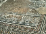 volubilis (46)