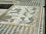 volubilis (47)