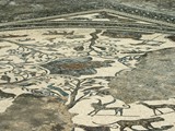 volubilis (49)