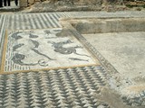 volubilis (51)