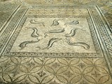 volubilis (56)