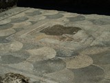 volubilis (66)