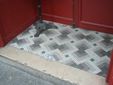 Paris-11-tapis (38)