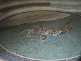 Paris 16 (76)
