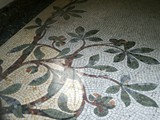 Paris-7-tapis (47)