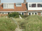 Zandvoort (5)
