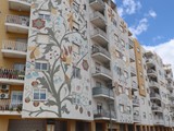 castelo branco (16)
