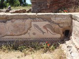 milreu (20)