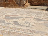 milreu (39)