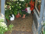 Lyon-tapis (13)