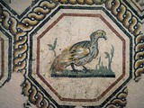 musee-gallo-romain-lyon (48)