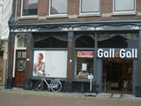 delft (3)