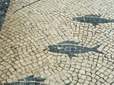 aveiro