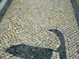 aveiro (2)
