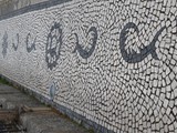 castelo branco (4)