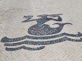 eiceira (1)