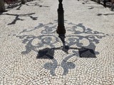 eiceira (3)