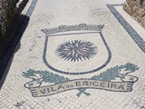 eiceira (7)