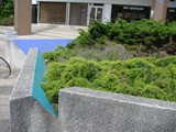 conservatoire (3)