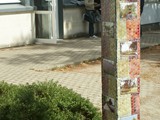 rue du breil (3)