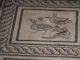 nimes musée (24)