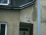 Angers (27)