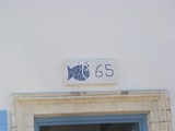 Photo 007