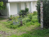 talmont (2)