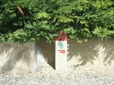turquant (12)